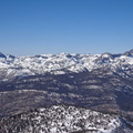 Mamooth-3