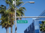 RODEO-7