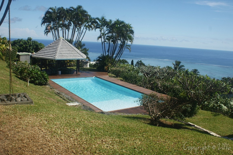 DSC06900 (Copier).jpg