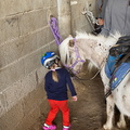 Victoire Poney Club-37